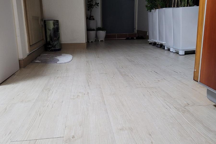 장흥 관산 진행 중 현장