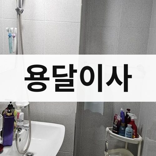 전남 서부 용달이사 포장이사