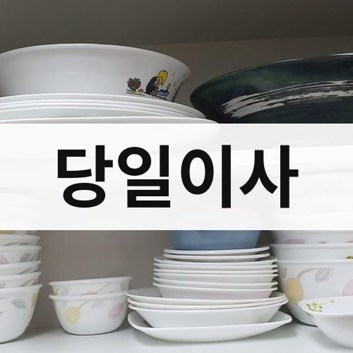 전남 서부 당일이사 포장이사